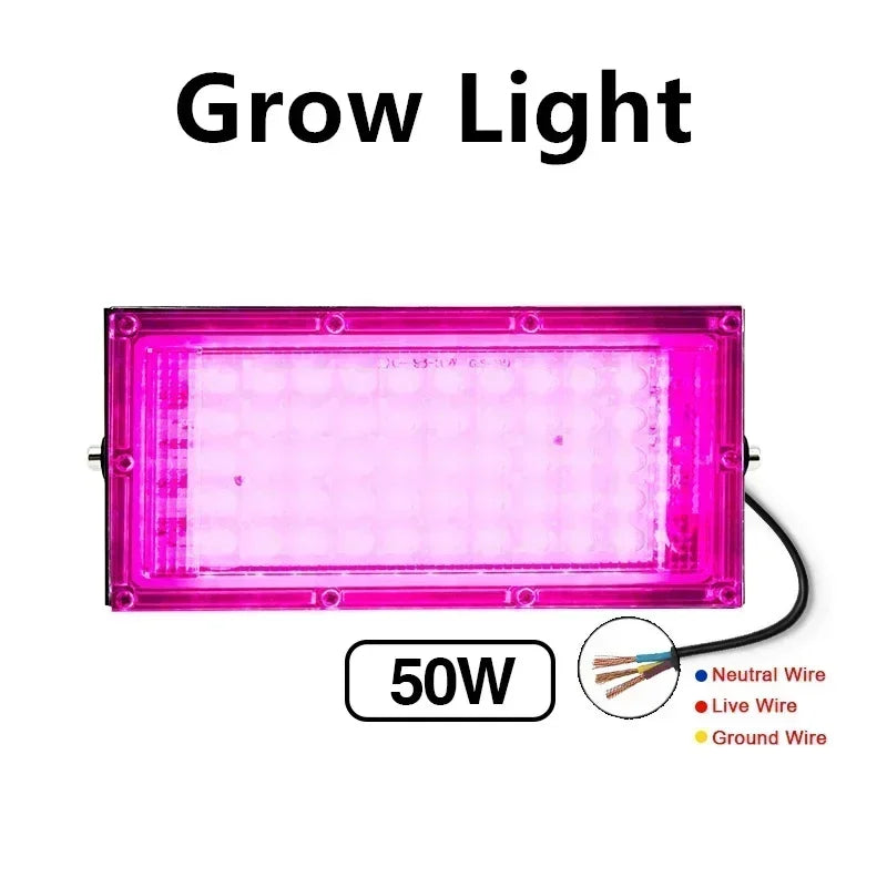 LED Grow Lights for Indoor Plants Full Spectrum Veg Bloom 220V 50W 100W Floodlight Switch Control Plant Light Seed Starting Seed