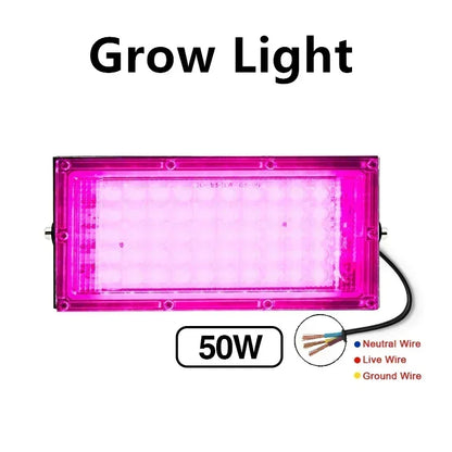 LED Grow Lights for Indoor Plants Full Spectrum Veg Bloom 220V 50W 100W Floodlight Switch Control Plant Light Seed Starting Seed