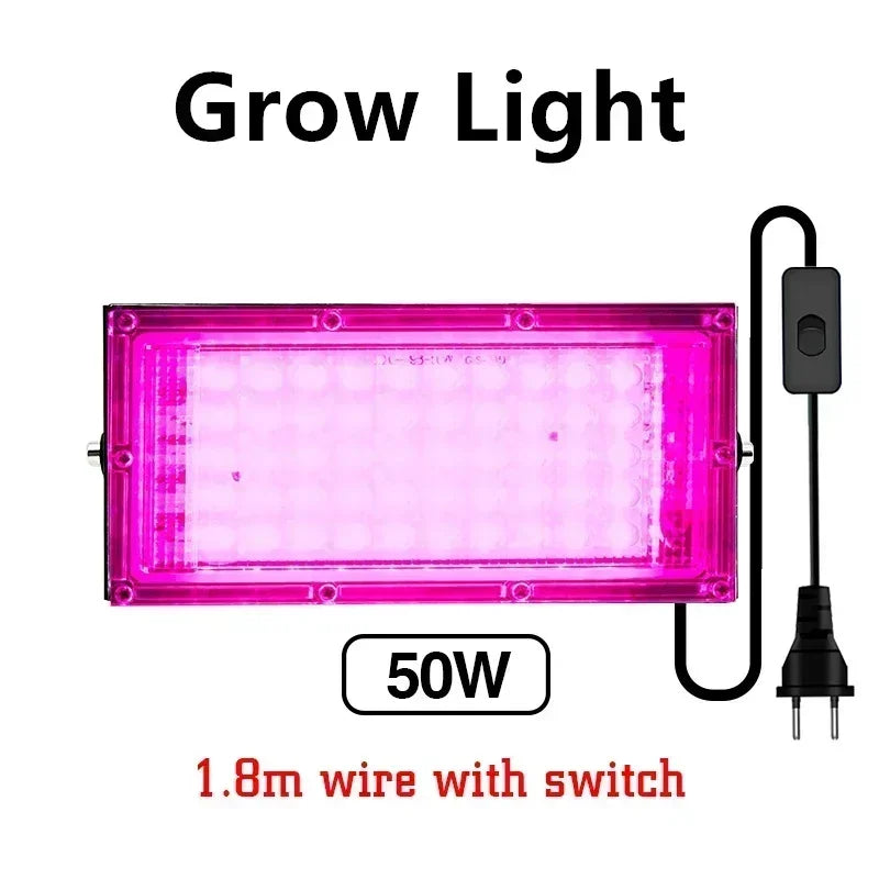 LED Grow Lights for Indoor Plants Full Spectrum Veg Bloom 220V 50W 100W Floodlight Switch Control Plant Light Seed Starting Seed