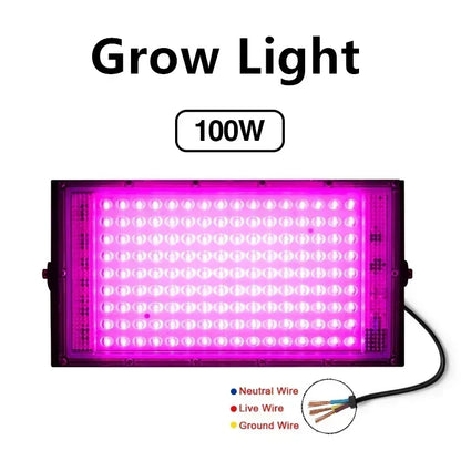 LED Grow Lights for Indoor Plants Full Spectrum Veg Bloom 220V 50W 100W Floodlight Switch Control Plant Light Seed Starting Seed