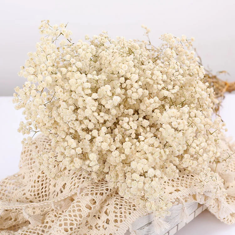 Natural Fresh Baby's Breath Dried Preserved Flowers Gypsophila paniculata Flower bouquets for Wedding Decoration,Valentines gift