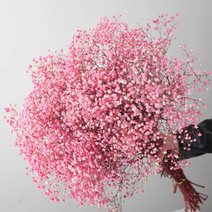 Natural Fresh Baby's Breath Dried Preserved Flowers Gypsophila paniculata Flower bouquets for Wedding Decoration,Valentines gift