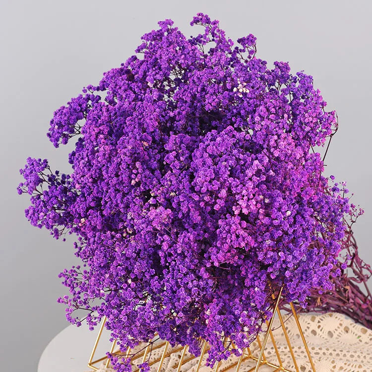 Natural Fresh Baby's Breath Dried Preserved Flowers Gypsophila paniculata Flower bouquets for Wedding Decoration,Valentines gift