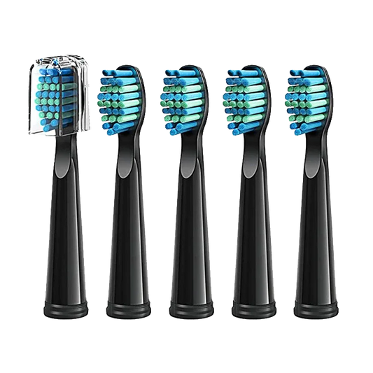 Electric Toothbrush Heads Sonic Replaceable Seago Tooth brush Head Soft Bristle SG-507/508/551/548/575/949/958/2303